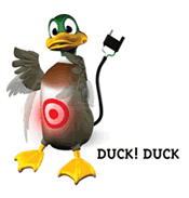 Duck! Duck! Ball Cover