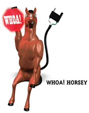 Whoa! Horsey Ball Cover